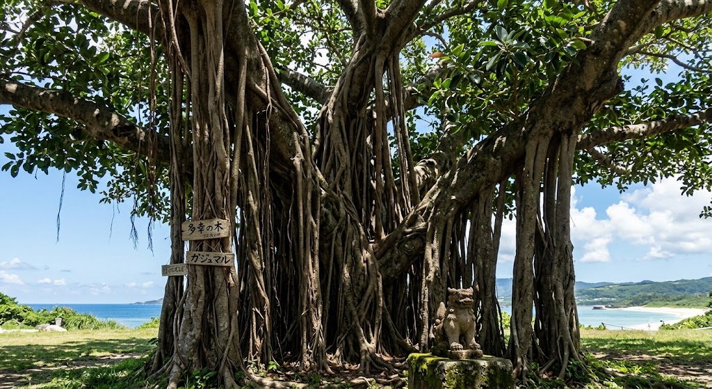 観葉植物の生命力を取り入れる
