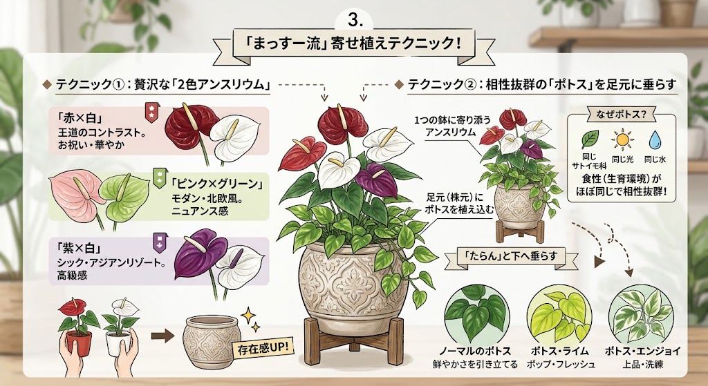 アンスリウムのおしゃれな飾り方・寄せ植え