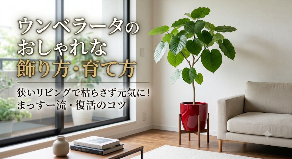 ウンベラータおしゃれに狭いリビング飾り方