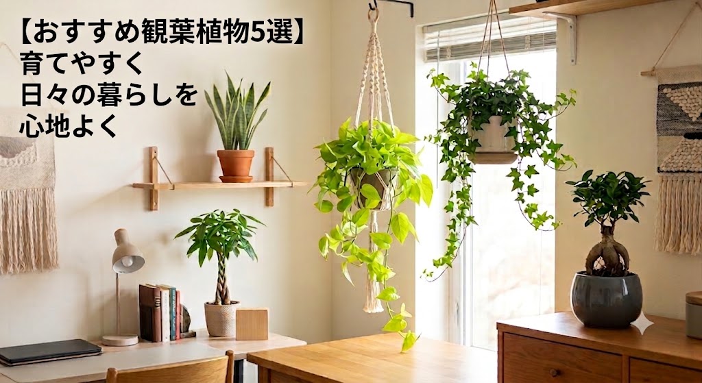 狭い部屋観葉植物おすすめ5選